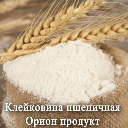 фотография продукта Пшеничная клейковина (глютен) казахстан